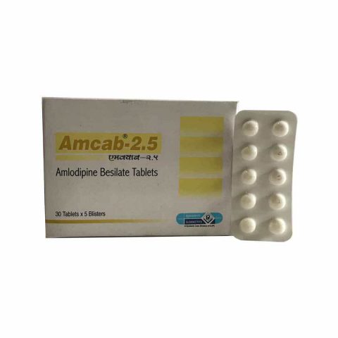 AMCAB-2.5