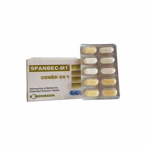 SPANDEC-M1